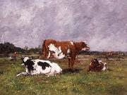 Cows in a Pasture